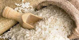 تولید انواع برنج در شمال