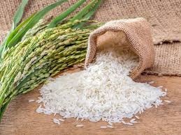 انواع برنج ایرانی سفید