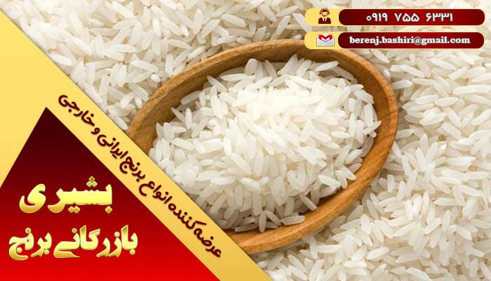 قیمت برنج شیرودی شمال | نمایندگی رسمی برنج ایرانی