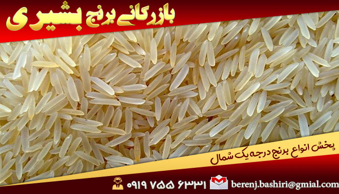 برنج ایرانی ساحل | خرید برنج با تضمین قیمت