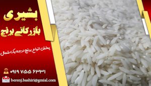 نوعی برنج پاکستانی